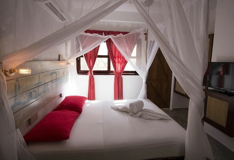 Номер Стандарт, 40 Cañones