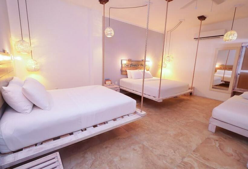 סוויטה, 40 Cañones