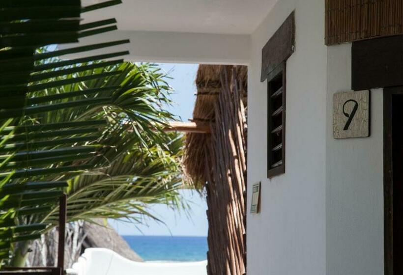 Номер Deluxe, 40 Cañones