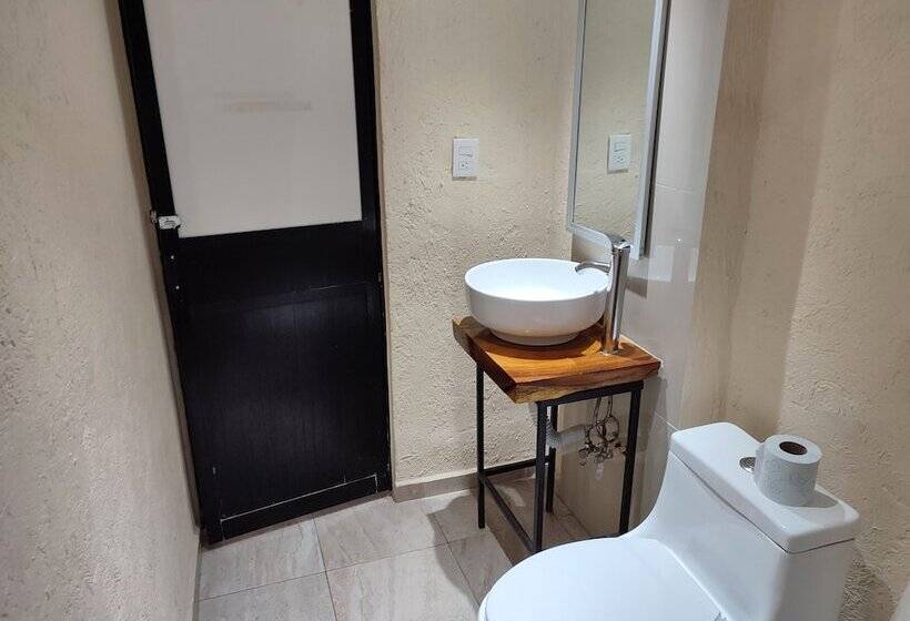 חדר סטנדרט לשלושה, Ashly