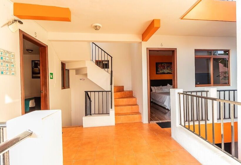 غرفة قياسية, Doña Juana Tlacotalpan