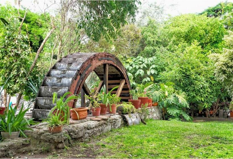 Номер Стандарт Трехместный, El Molino Hotel Boutique