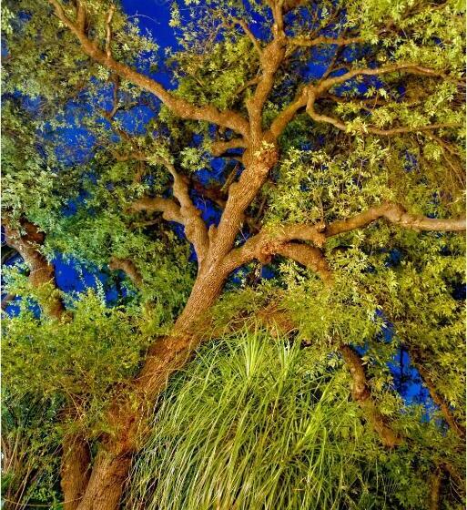 Номер Стандарт Трехместный, El Molino Hotel Boutique