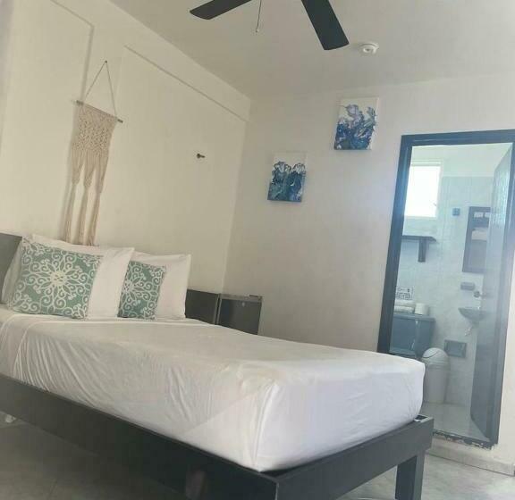 스탠다드 룸, Caracol Isla Mujeres