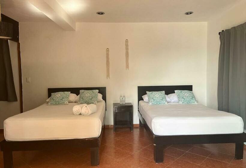 스탠다드 스튜디오, Caracol Isla Mujeres