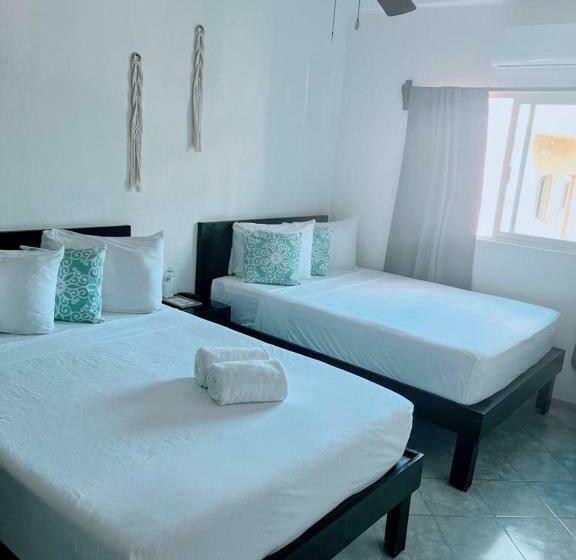 스탠다드 스튜디오, Caracol Isla Mujeres