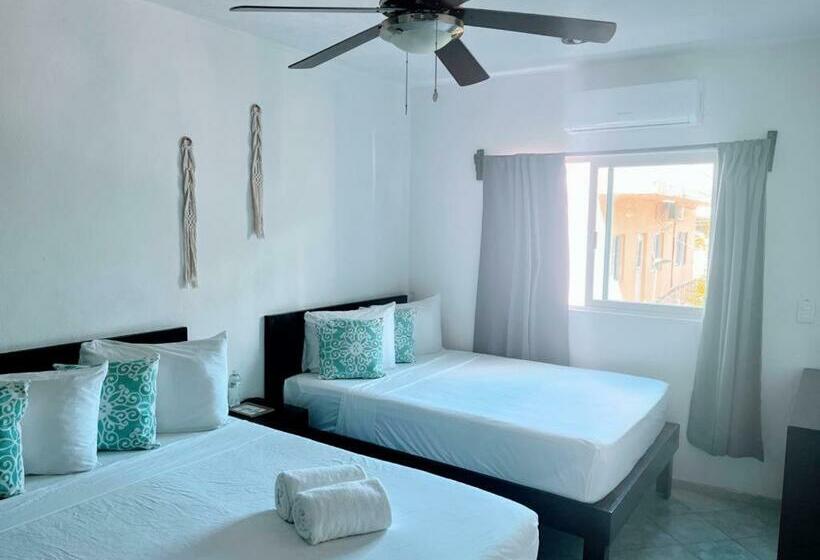Студия Стандарт, Caracol Isla Mujeres