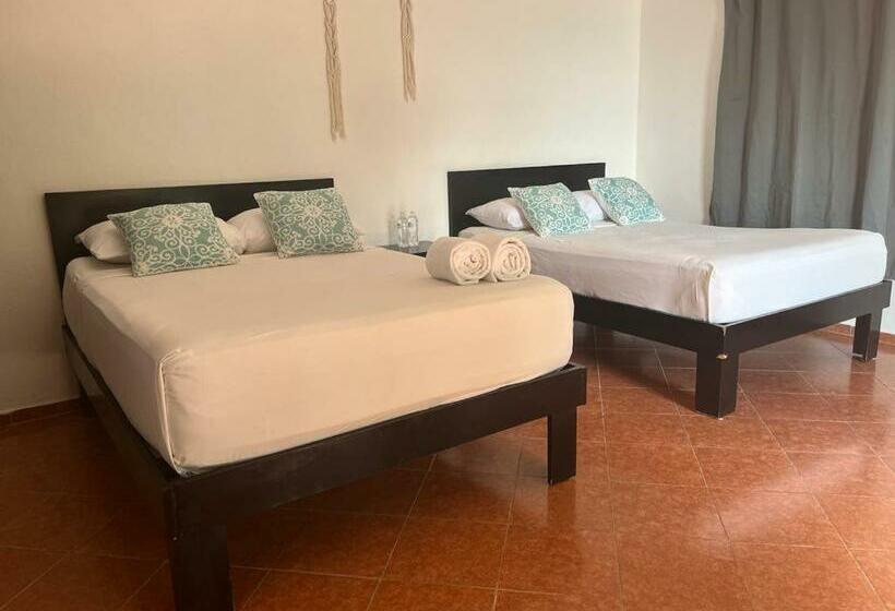 스탠다드 스튜디오, Caracol Isla Mujeres