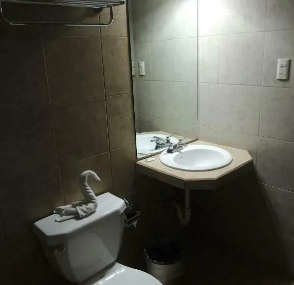 Deluxe-huone, Metropolitano Tampico