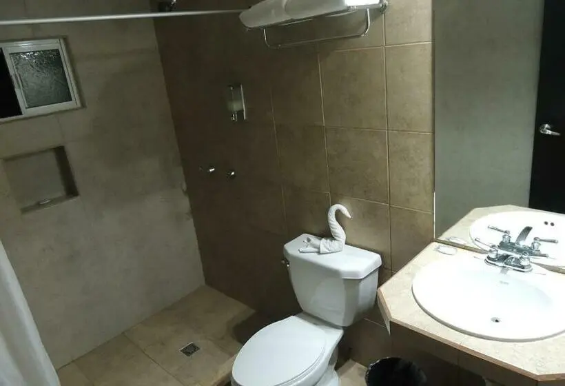 Deluxe-huone, Metropolitano Tampico