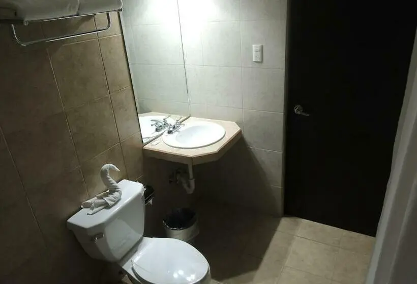 Deluxe-huone King-vuode, Metropolitano Tampico