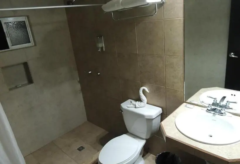 Deluxe-huone King-vuode, Metropolitano Tampico