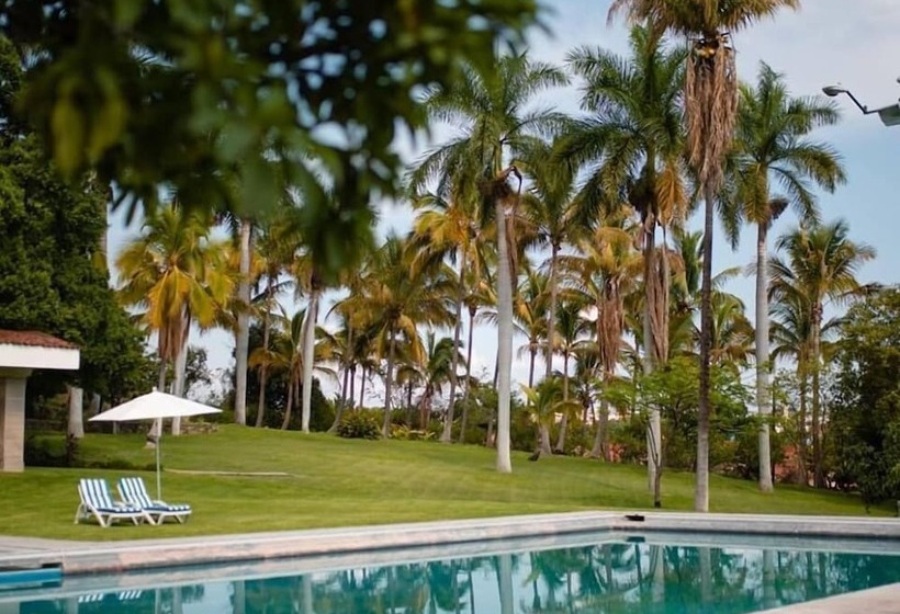 スタンダードルーム, Rancho La Joya