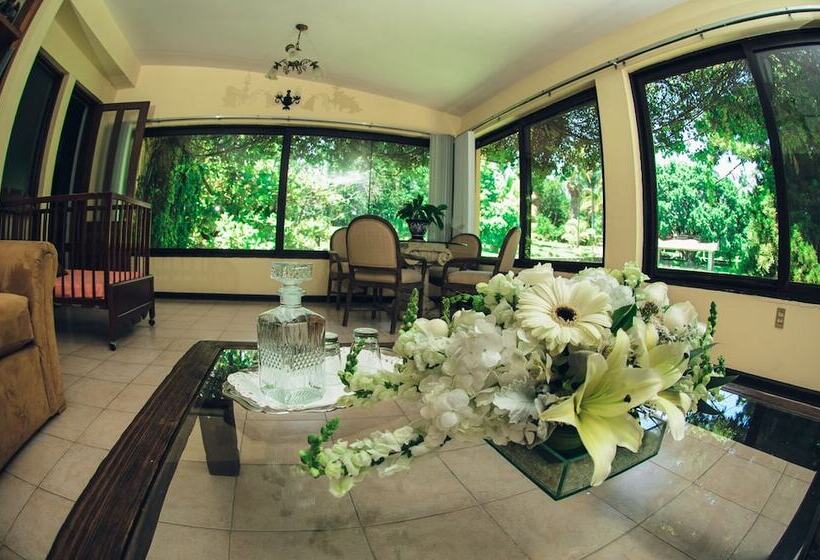 スタンダードルーム, Rancho La Joya