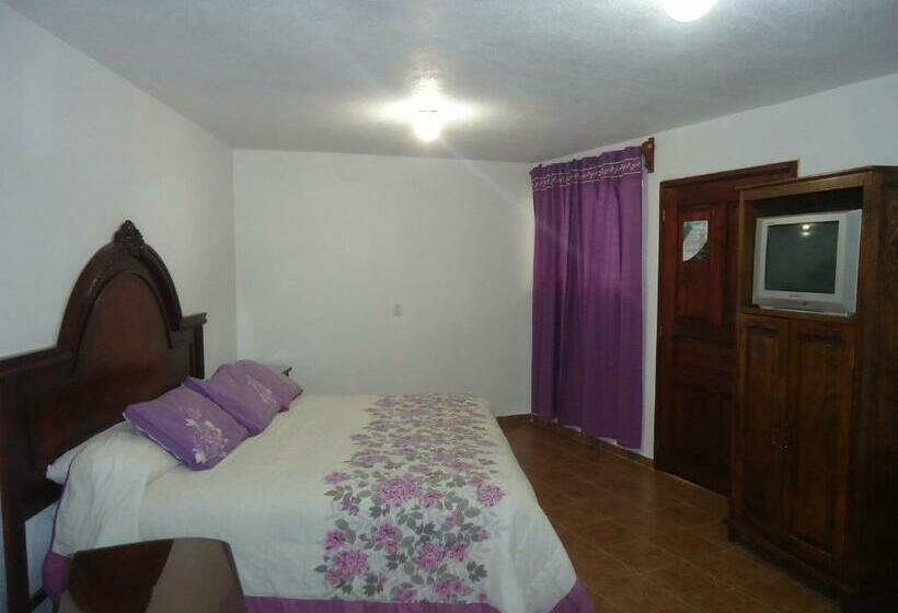 غرفة قياسية سرير كينج, San Isidro