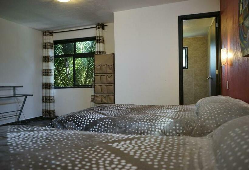 Номер Стандарт, Telpochcalli Hotel & Temazcal