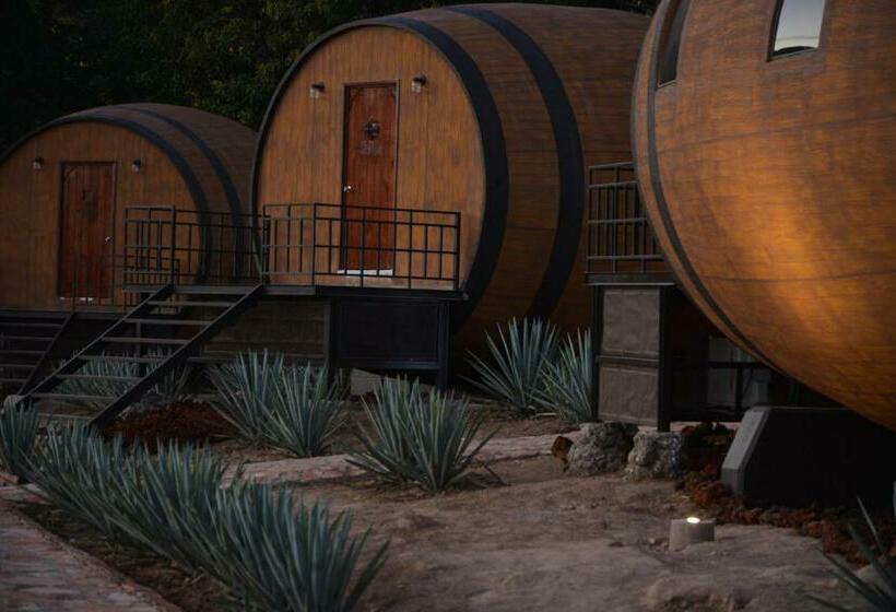 חדר סטנדרט, Matices Hotel De Barricas