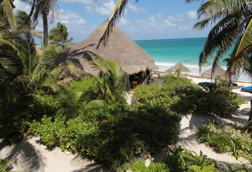 オーシャンビュースイート, Sol Caribe