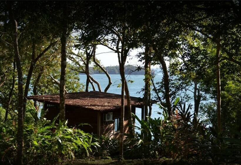 オーシャンビューのスタンダードバンガロー, Howlers Bay