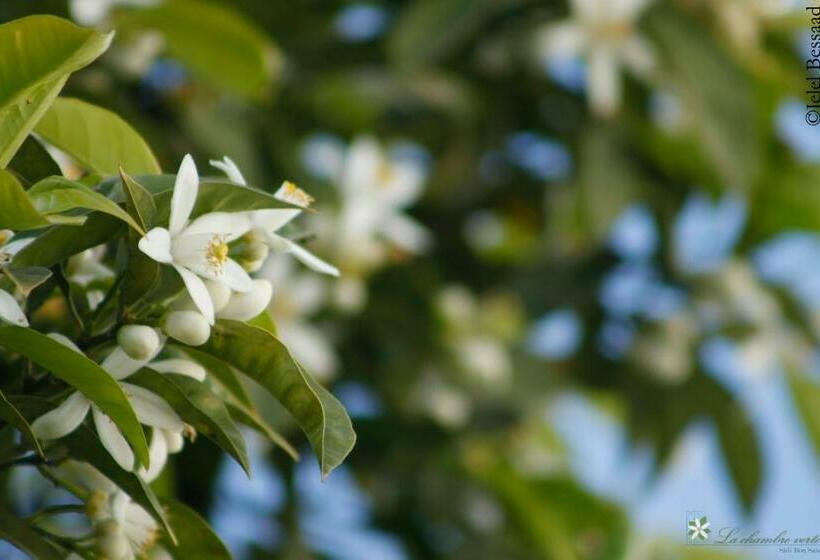 اتاق لوکس با تخت بزرگ, La Chambre Verte