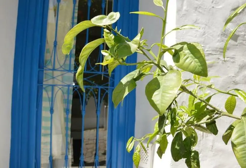 اتاق لوکس با تخت بزرگ, La Chambre Verte