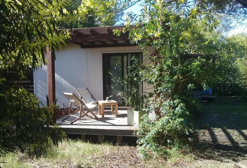 Трехместный Номер Комфорт, La Maison Suites & Gastronomía