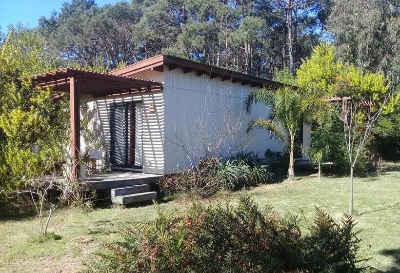 Номер Стандарт Трехместный, La Maison Suites & Gastronomía