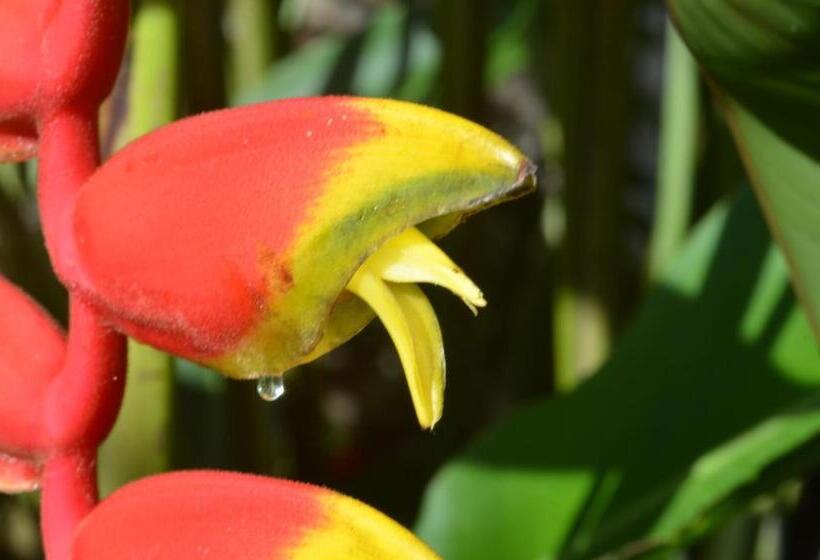 Standard bungalow with view, Seagull Cove Resort