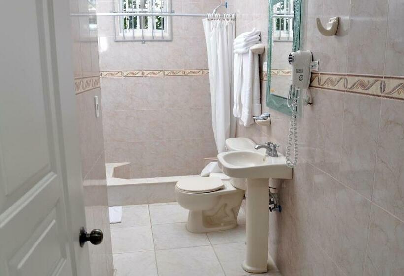 اتاق استاندارد, Sinai