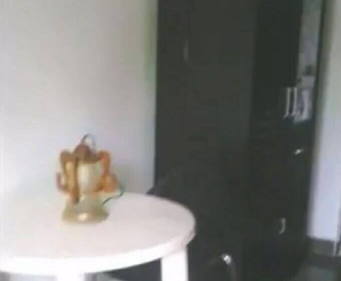 اتاق اکونومی, Trax Holiday Cottages