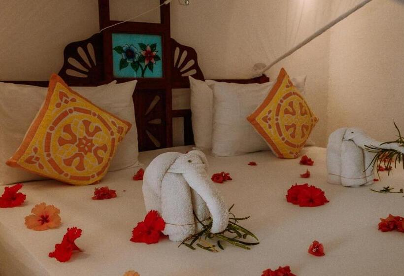 エコノミールーム, Blue Oyster