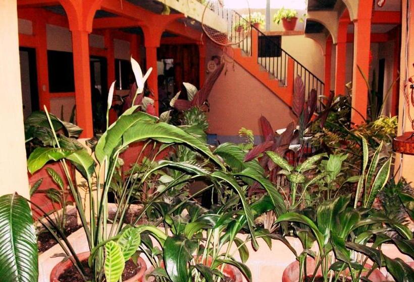 اتاق استاندارد, & Hostal Yaxkin Copan