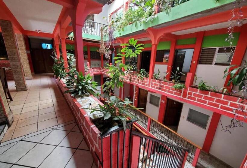 اتاق لوکس با تخت بزرگ, & Hostal Yaxkin Copan