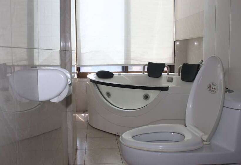 اتاق لوکس, Mic