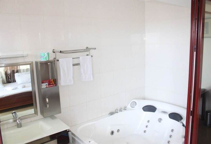 اتاق لوکس, Mic