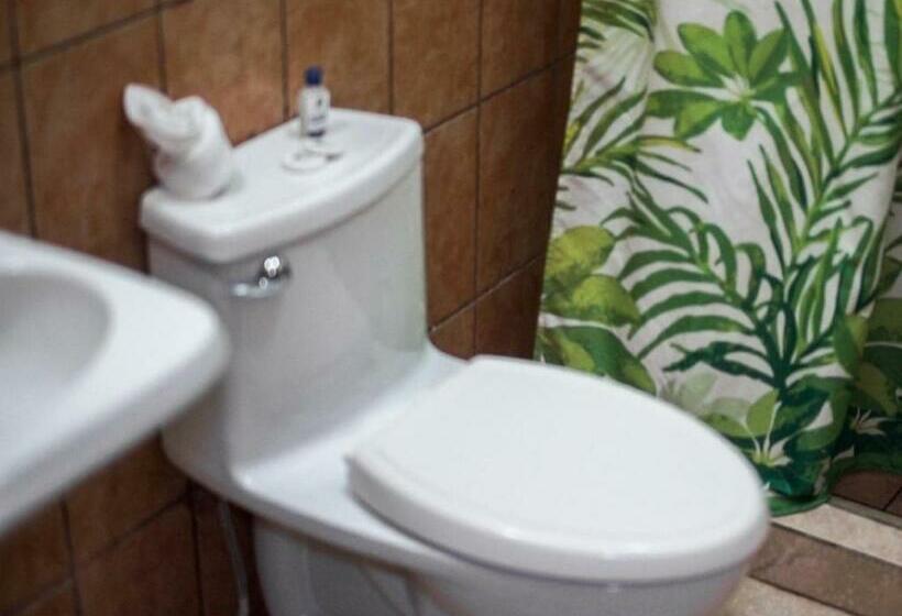 اتاق پریمیوم چهارنفره, Puerto Libre