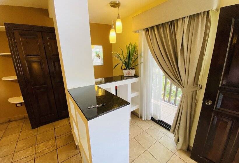 سوییت جونیور, Puerto Libre