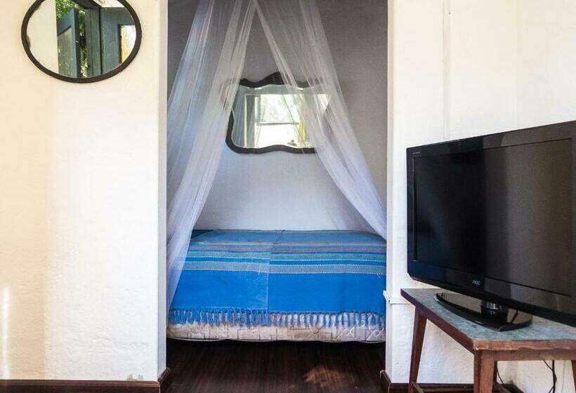 Habitación Estándar Baño Compartido, Negrita Hostel