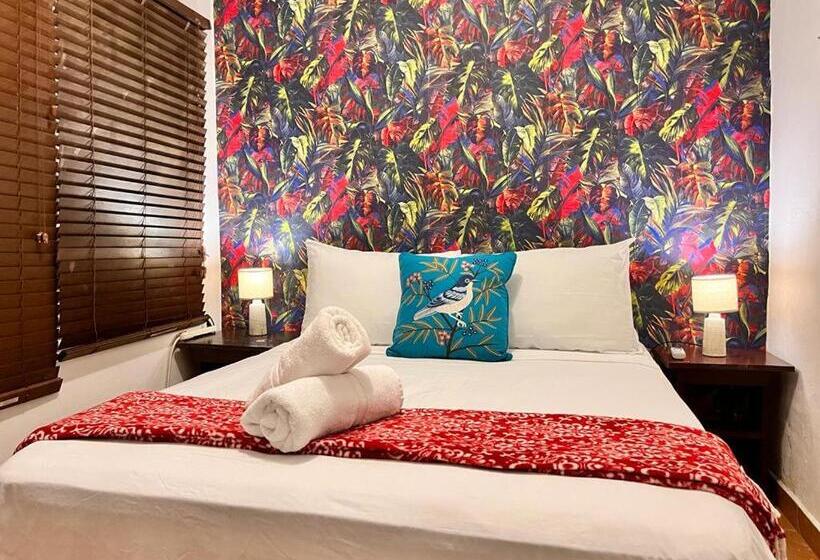 스탠다드 룸, Panama House Bed & Breakfast