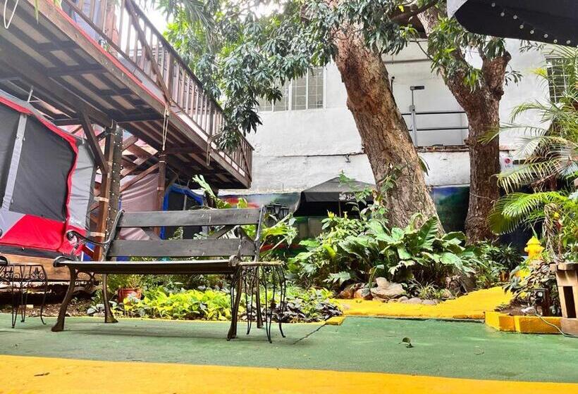 Standard Tent, Panama House Bed & Breakfast