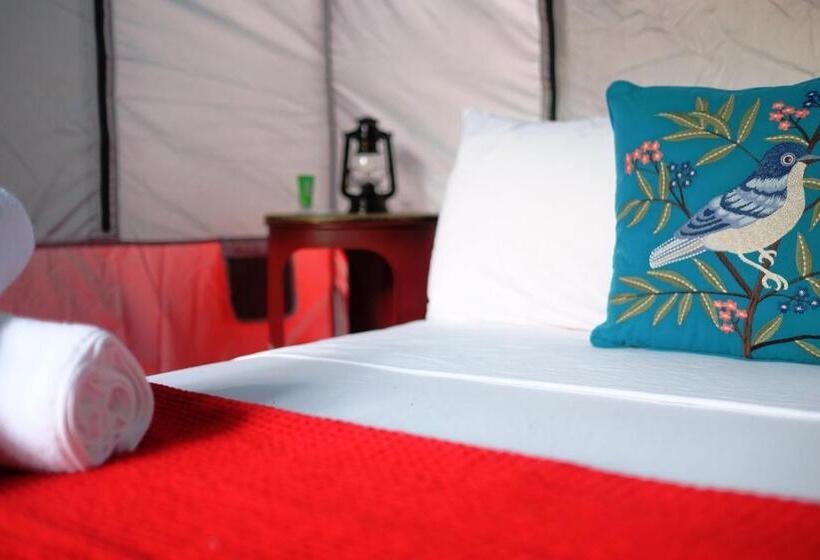 Standard Tent, Panama House Bed & Breakfast