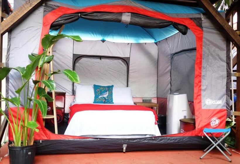 Standard Tent, Panama House Bed & Breakfast