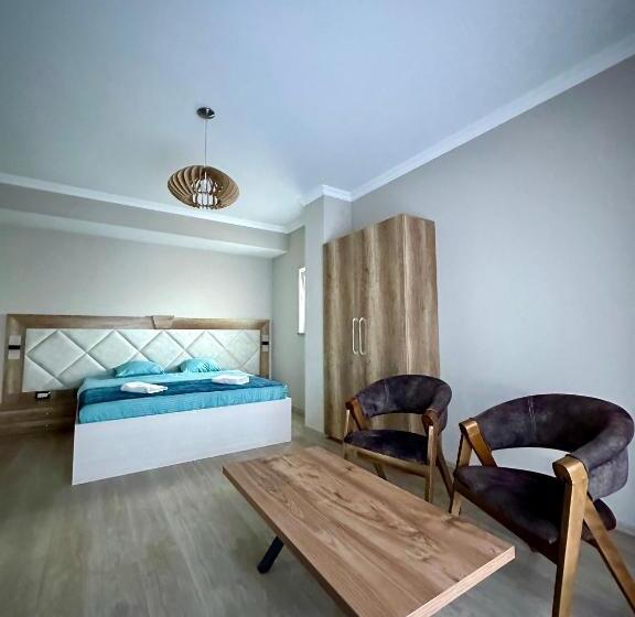 اتاق لوکس خانوادگی, Borea