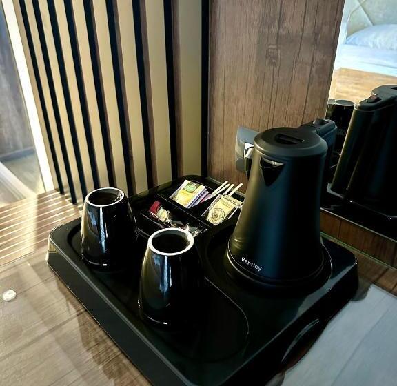 اتاق لوکس خانوادگی, Borea