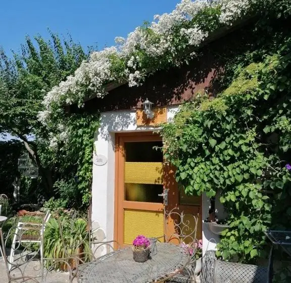 スーペリアースイート, Pension Amelie