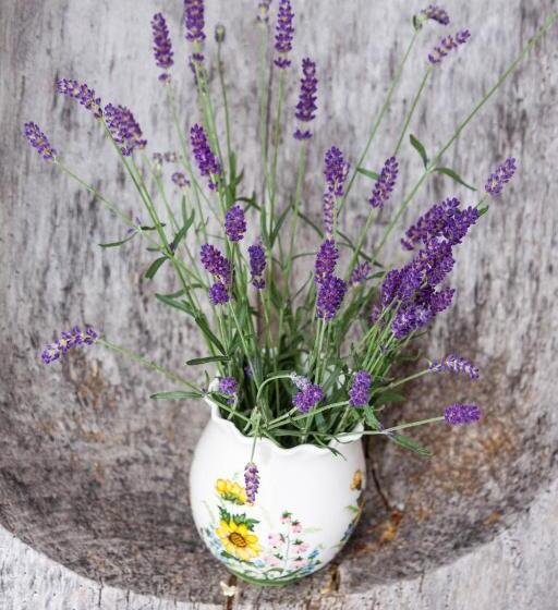 Люкс Superior, Pension Amelie