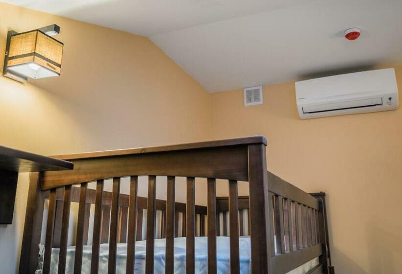 سرير فى غرفة مشتركه, Gar'is Hostel Lviv