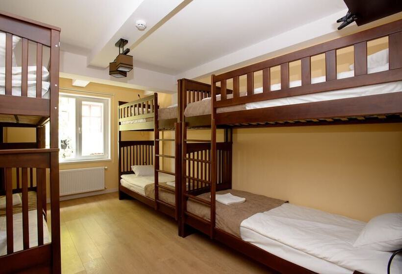 سرير فى غرفة مشتركه, Gar'is Hostel Lviv