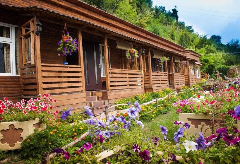 اتاق استاندارد, Bilya Richky