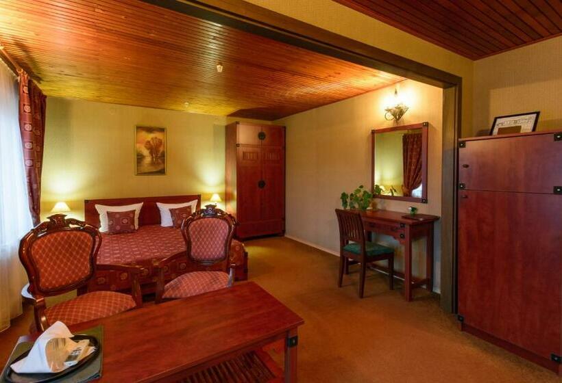 スタンダードルーム, Letuchiy Gollandets